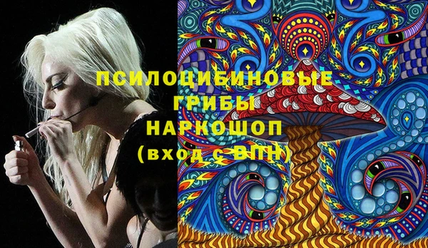 бошки Алзамай