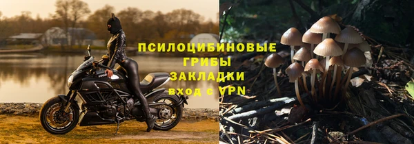 бошки Алзамай