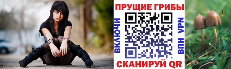 Псилоцибиновые грибы прущие грибы  Карпинск 